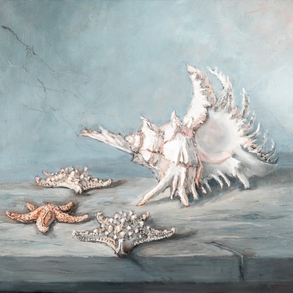 "Murex and sea stars" 24"x26. oil painting  on canvas, - Picture 1 of 4